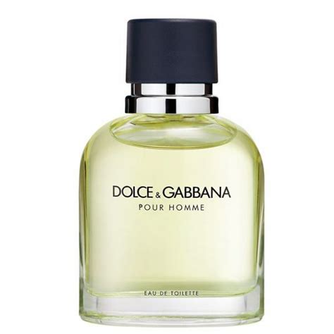 dolce gabbana for men.